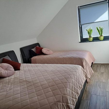 Apartmán Apartmaji Tisa In Zana Rovte Exteriér fotografie