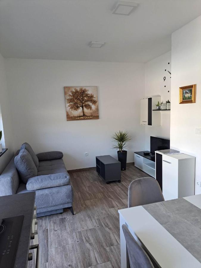 Apartmán Apartmaji Tisa In Zana Rovte Exteriér fotografie