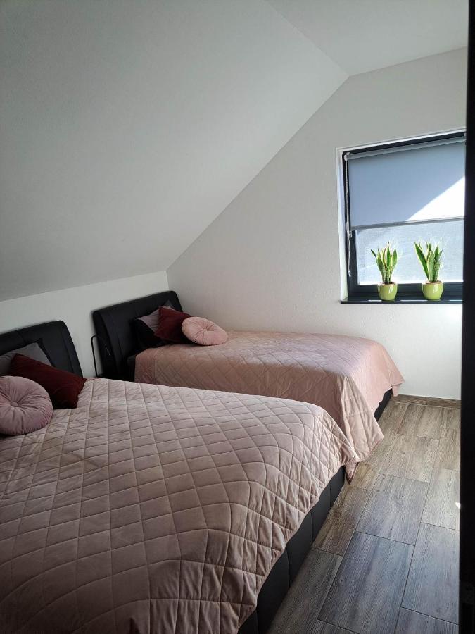 Apartmán Apartmaji Tisa In Zana Rovte Exteriér fotografie