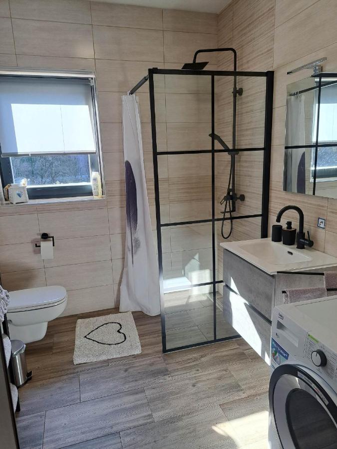 Apartmán Apartmaji Tisa In Zana Rovte Exteriér fotografie