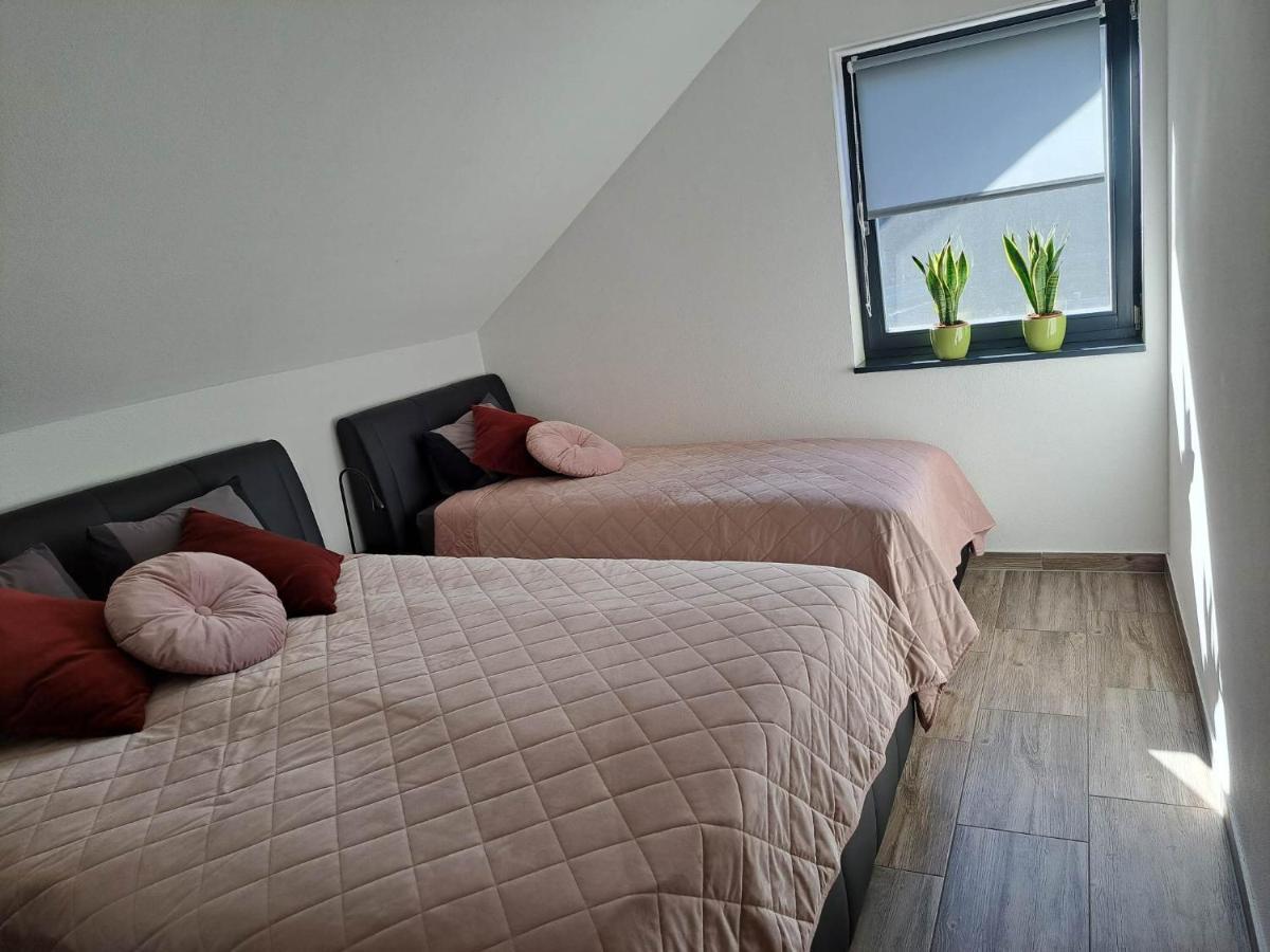 Apartmán Apartmaji Tisa In Zana Rovte Exteriér fotografie